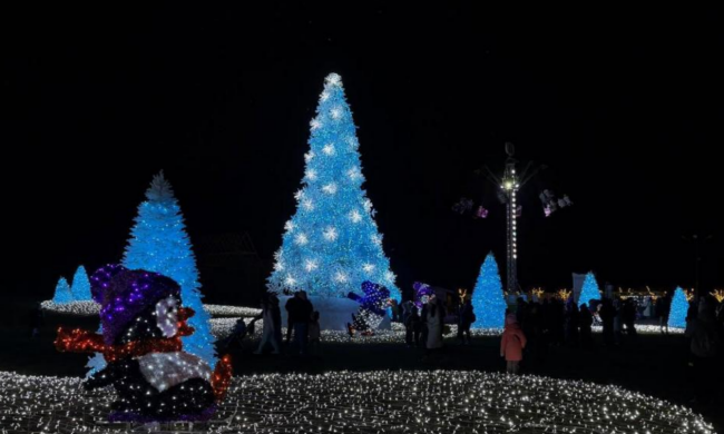 Українці, Новий рік, Добропарк, фото із соцмереж