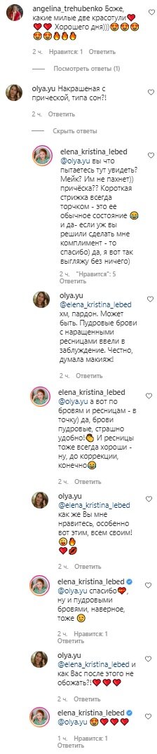 Комментарии, скриншот: Instagram (Лебедь)