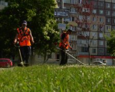 Днепрянам обьяснили, как не чихать и не плакать от амброзии - звоните Филатову