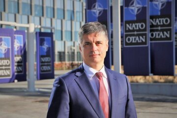 У Зеленського здеруть з українців три шкури через "формулу Штайнмайера": третина зарплат і пенсій