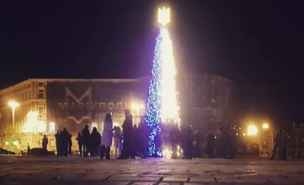 Ялинка в Києві. Фото: кадр з відео