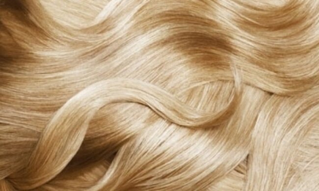 Мужчина вез из России 18 пакетов волос (видео)