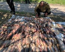 незаконний вилов риби