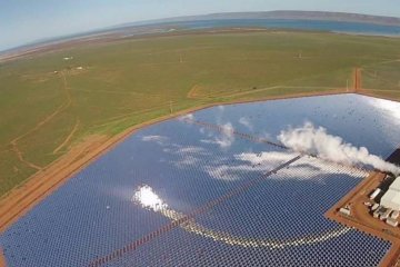 Японці зароблятимуть на грибах і сонячній енергії