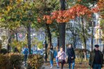 Осені. Фото: Depo.ua