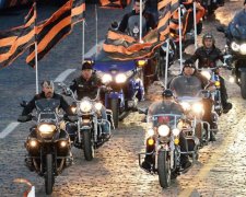 Путінського "вовка" пристрелили, як собаку
