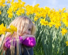 Украинская долина нарциссов стала хитом дня: видео