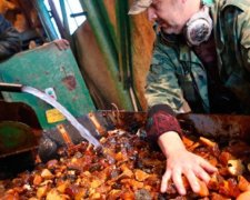 Щоб вигнати копачів бурштину з лісу, пригнали нацгвардійців та БТР (фото)