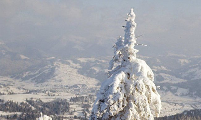 Сильні вітри, дощ і ожеледиця тішитимуть українців цілий тиждень, і це ще не все