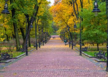 Торгівля у львівських парках