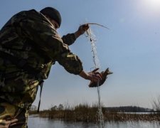 Один раз - не піленгас: ненаситні браконьєри наловили рибки на 4 мільйони