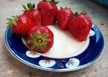 Клубника и сметана, фото: Pxhere