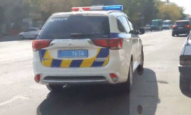 В Мелитополе скользкий тип оставил на траве подозрительные следы - замешаны женщины