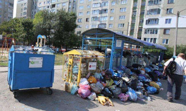 Українці заплатять, як за рідну маму: кому "світять" посилені штрафи за сміття