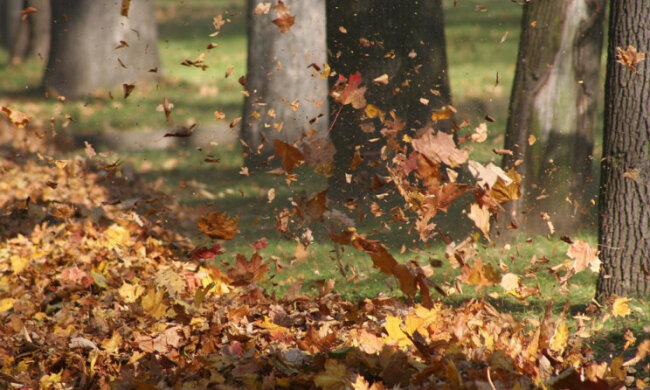 Киевляне, держитесь: стихия разгуляется на полную катушку 14 ноября