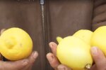 Скрін, відео YouTube лимон