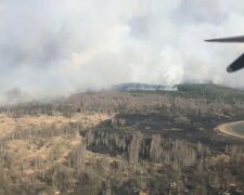 Пожежа в Чорнобильській зоні, фото: ДСНС