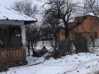 На Прикарпатье пенсионерка живет в ужасных условиях, фото: Facebook Типова Коломия