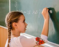 Языковой конфликт с Венгрией: как защитить интересы Украины в ЕС