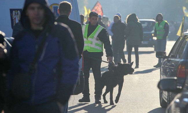 Митинг "евроблях" в правительственном квартале