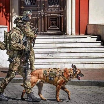 Собаки на передовой, фото с фейсбук