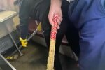 источник: Perepichka News