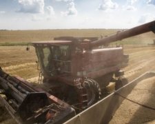 Якість українських продуктів зростатиме швидше за їхню ціну