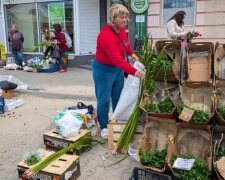Пучки лепехи (аїру) — традиційна зелень, якою українці прикрашають оселі на Трійцю