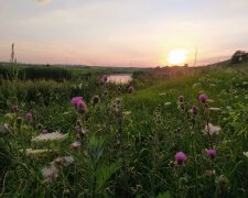 погода в Україні, фото pxhere