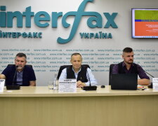 Необхідний якісний і постійний аудит економічної ситуації в країні – Пелюховський