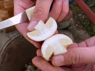 Чистка грибов. Фото: скрин youtube