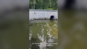 Затока Оболоні смердить каналізацією: стоки ллють у зону відпочинку за 75 млн грн