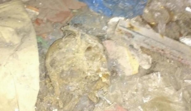 Дети нашли череп человека в подвале столичного дома