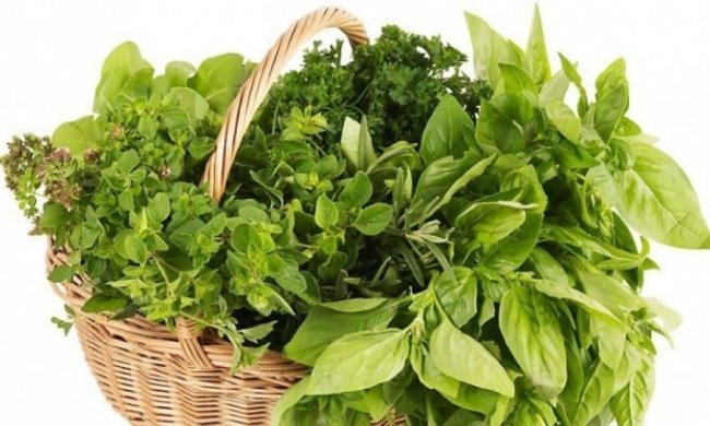 Какие травы лечат диабет