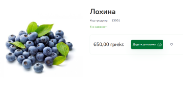 Ціни на лохину. Фото: скрін Інтернет-ринок "Шувар"