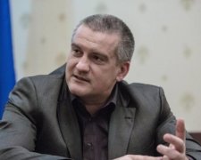 Кримські окупанти просять Путіна дозволити "віджимати" землю