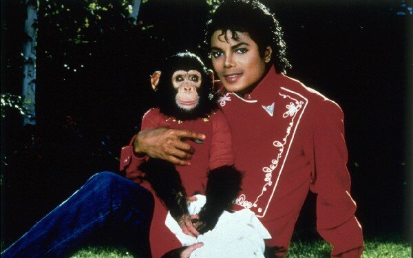Майкл Джексон и Бабблз, фото из соцсетей