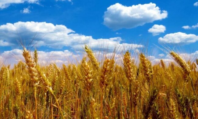 17 липня: що відомо про цей день