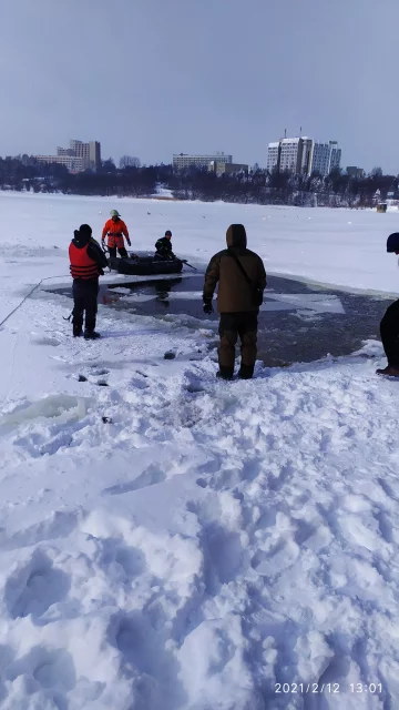 На Львівщині небайдужі рятували лебедів, фото з фейсбук