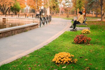 Всі - на прогулянку: синоптики порадували франківчан прогнозом на 11 жовтня