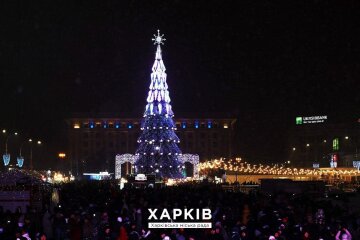 Топ найкрасивіших ялинок в 2022 році