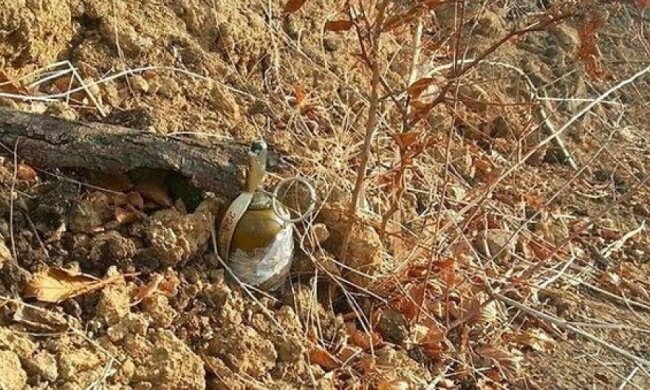 60-річний чоловік підірвався на розтяжці біля Волновахи