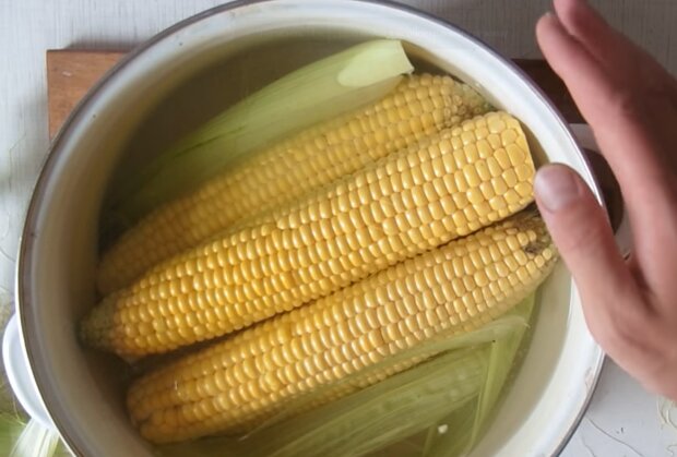 Приготовление кукурузы, кадр из видео