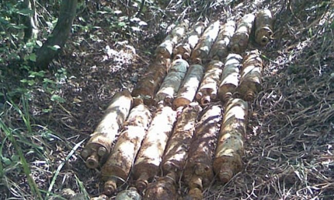 На Закарпатті грибник знайшов 63 реактивні снаряди (фото)