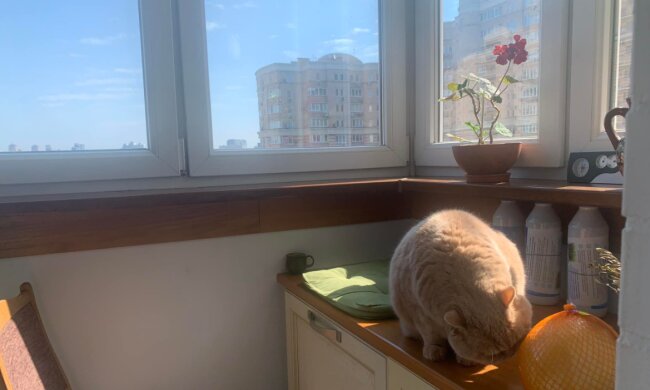 Прогноз погоди, facebook.com/tala.didenko