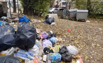 Звалище в Тернополі, фото: соціальні мережі