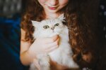 кішка на руках дівчини, фото Pxhere