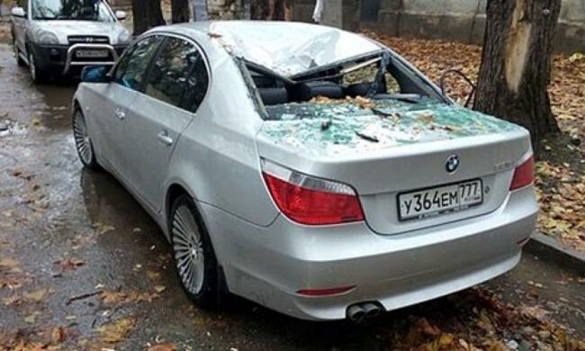 Величезна гілка розчавила автомобіль у Криму (фото)