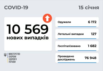 Статистика Минздрава, скриншот: Telegram