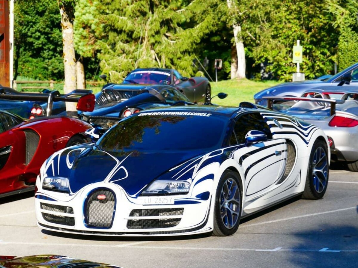 Редчайшая Bugatti Veyron Grand Sport врезалась в тюк сена после отказа  тормозов, видео - ЗНАЙ ЮА